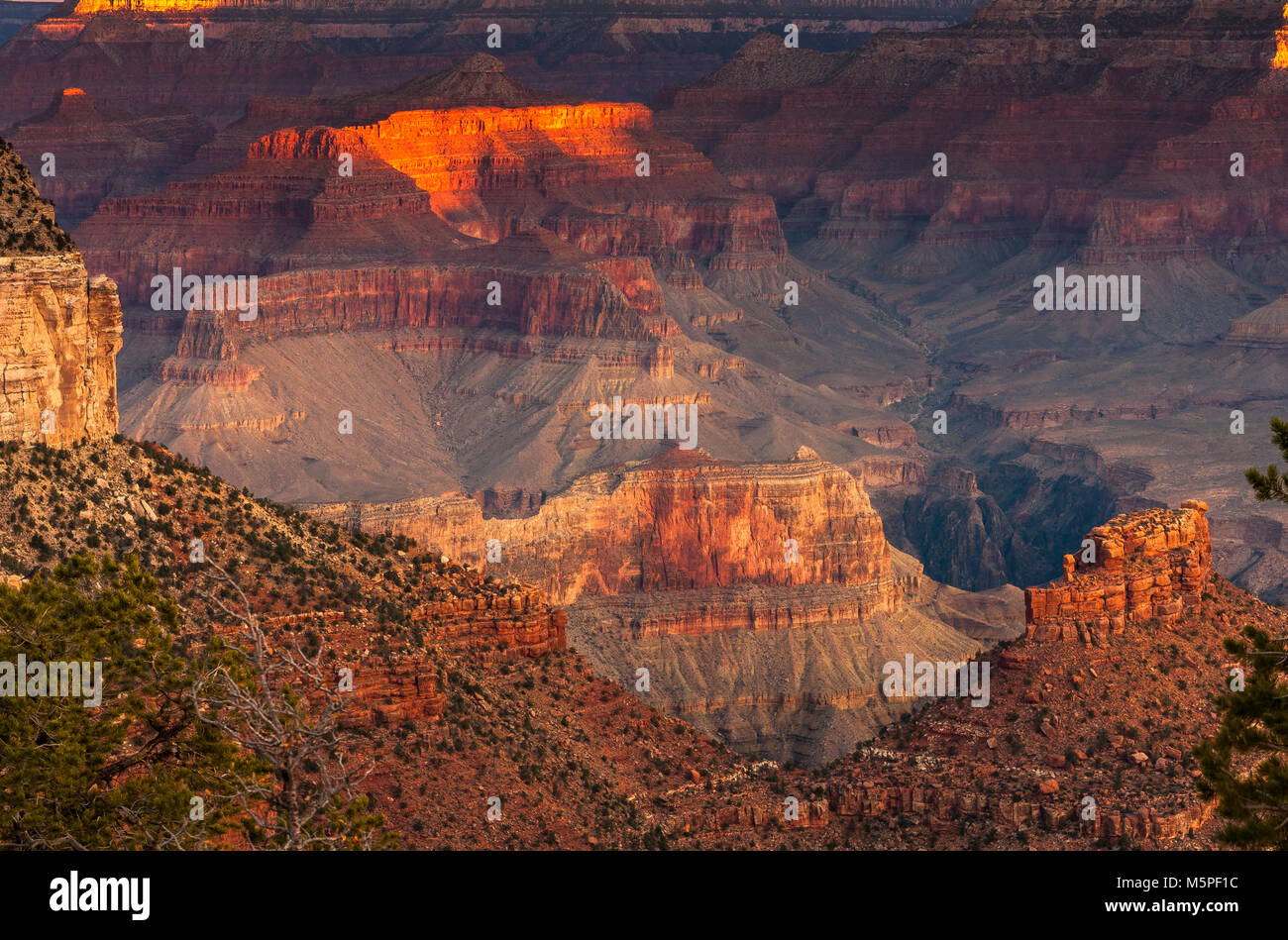 Sunrise al Grand Canyon, il Rising Sun raccoglie interessanti formazioni di roccia nei pressi di Yaki Point presso il Canyon South Rim, Arizona ,USA Foto Stock