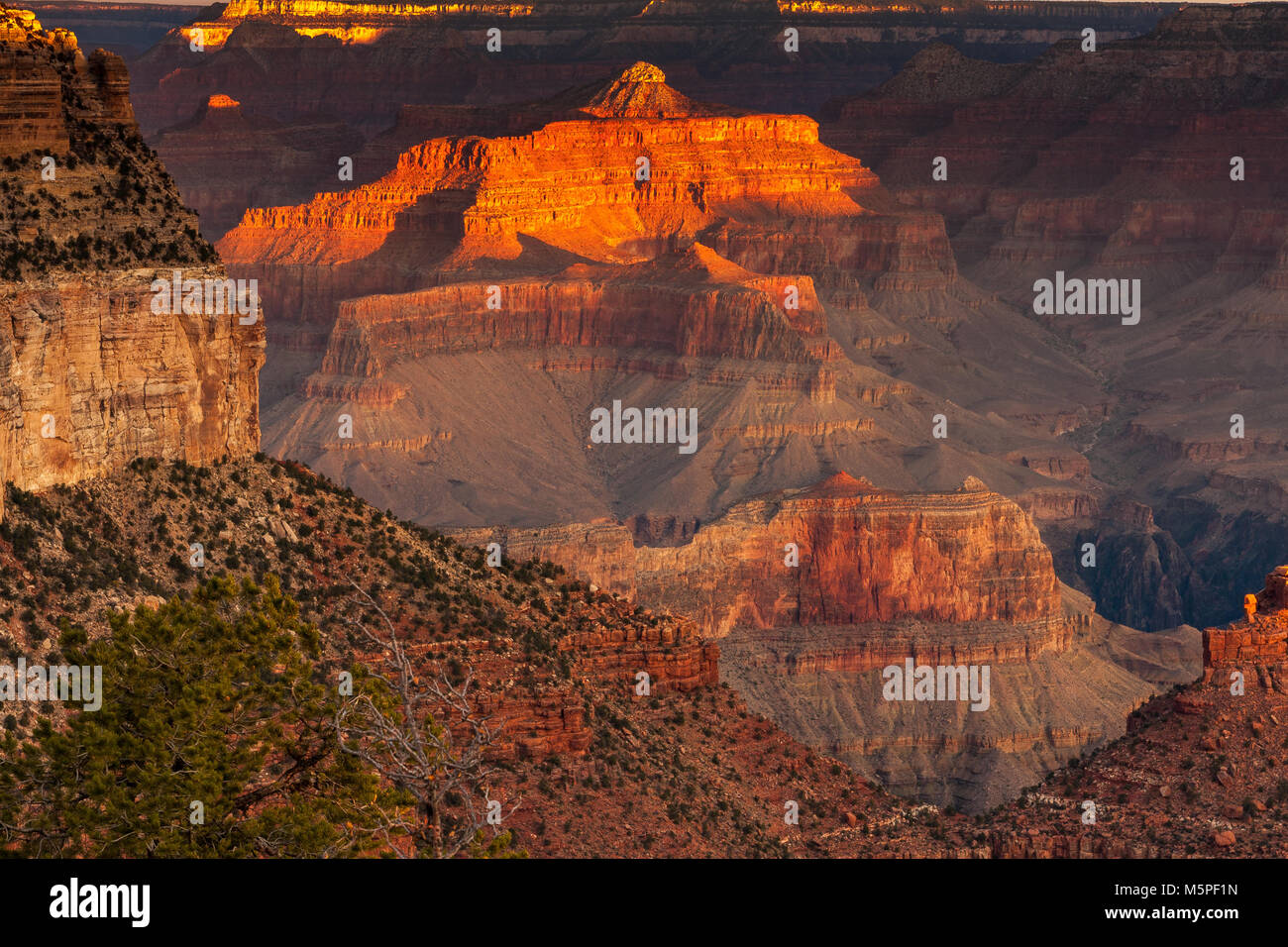 Sunrise al Grand Canyon, il Rising Sun raccoglie interessanti formazioni di roccia nei pressi di Yaki Point presso il Canyon South Rim, Arizona ,USA Foto Stock