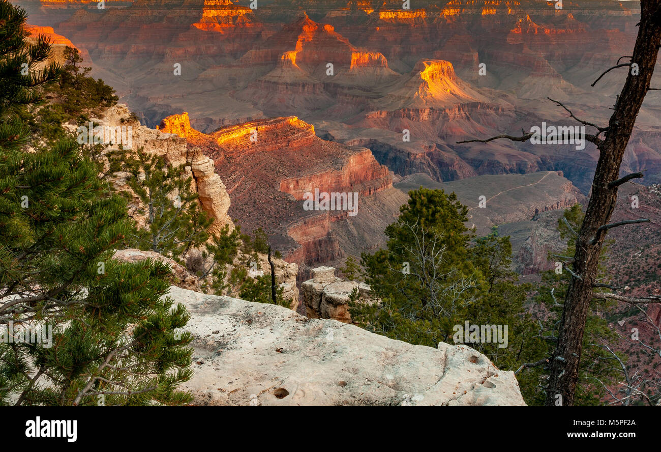 Sunrise al Grand Canyon, il Rising Sun raccoglie interessanti formazioni di roccia nei pressi di Yaki Point presso il Canyon South Rim, Arizona ,USA Foto Stock