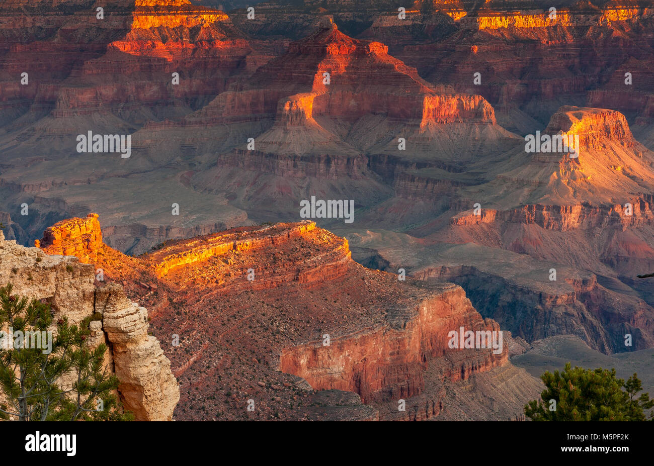 Sunrise al Grand Canyon, il Rising Sun raccoglie interessanti formazioni di roccia nei pressi di Yaki Point presso il Canyon South Rim, Arizona ,USA Foto Stock