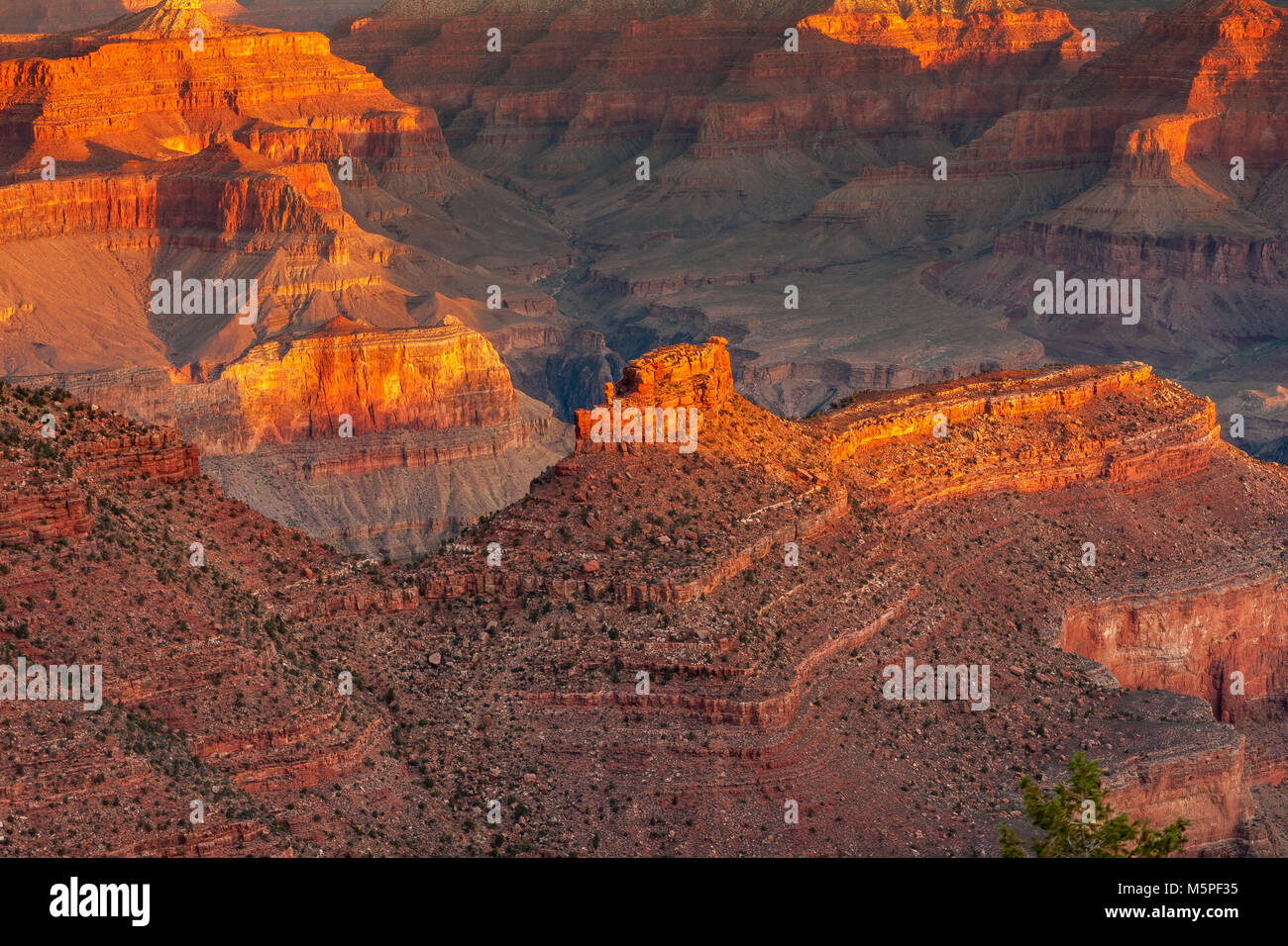 Sunrise al Grand Canyon, il Rising Sun raccoglie interessanti formazioni di roccia nei pressi di Yaki Point presso il Canyon South Rim, Arizona ,USA Foto Stock