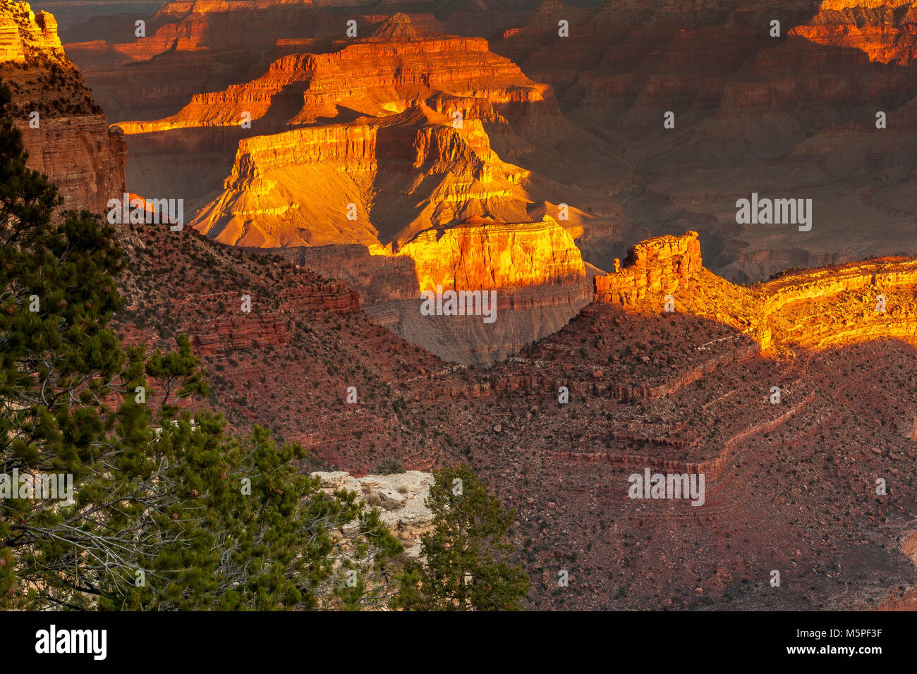 Sunrise al Grand Canyon, il Rising Sun raccoglie interessanti formazioni di roccia nei pressi di Yaki Point presso il Canyon South Rim, Arizona ,USA Foto Stock