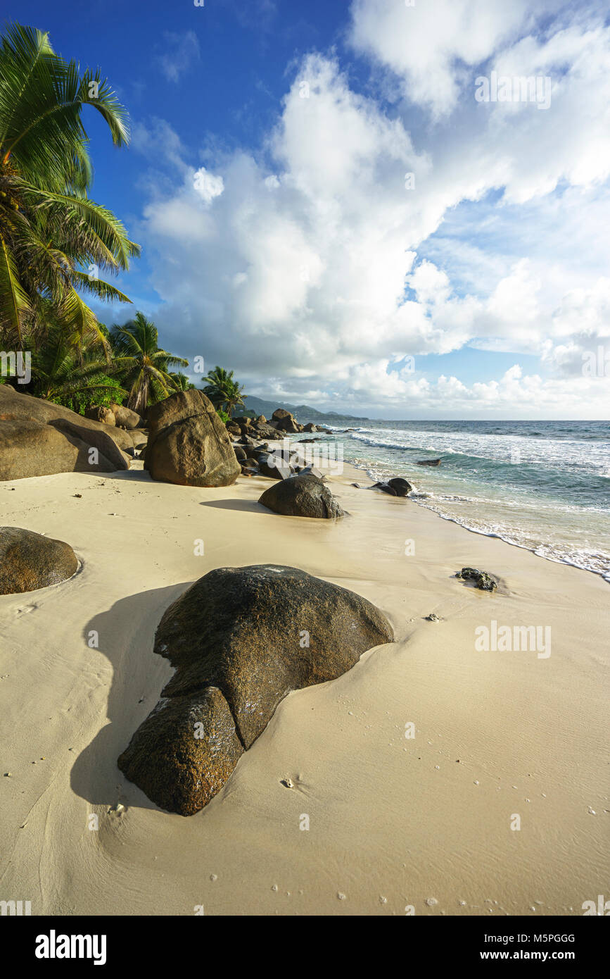 Bella wild tropical beach anse Marie-louise con rocce granitiche e palme nella sabbia delle Seychelles Foto Stock