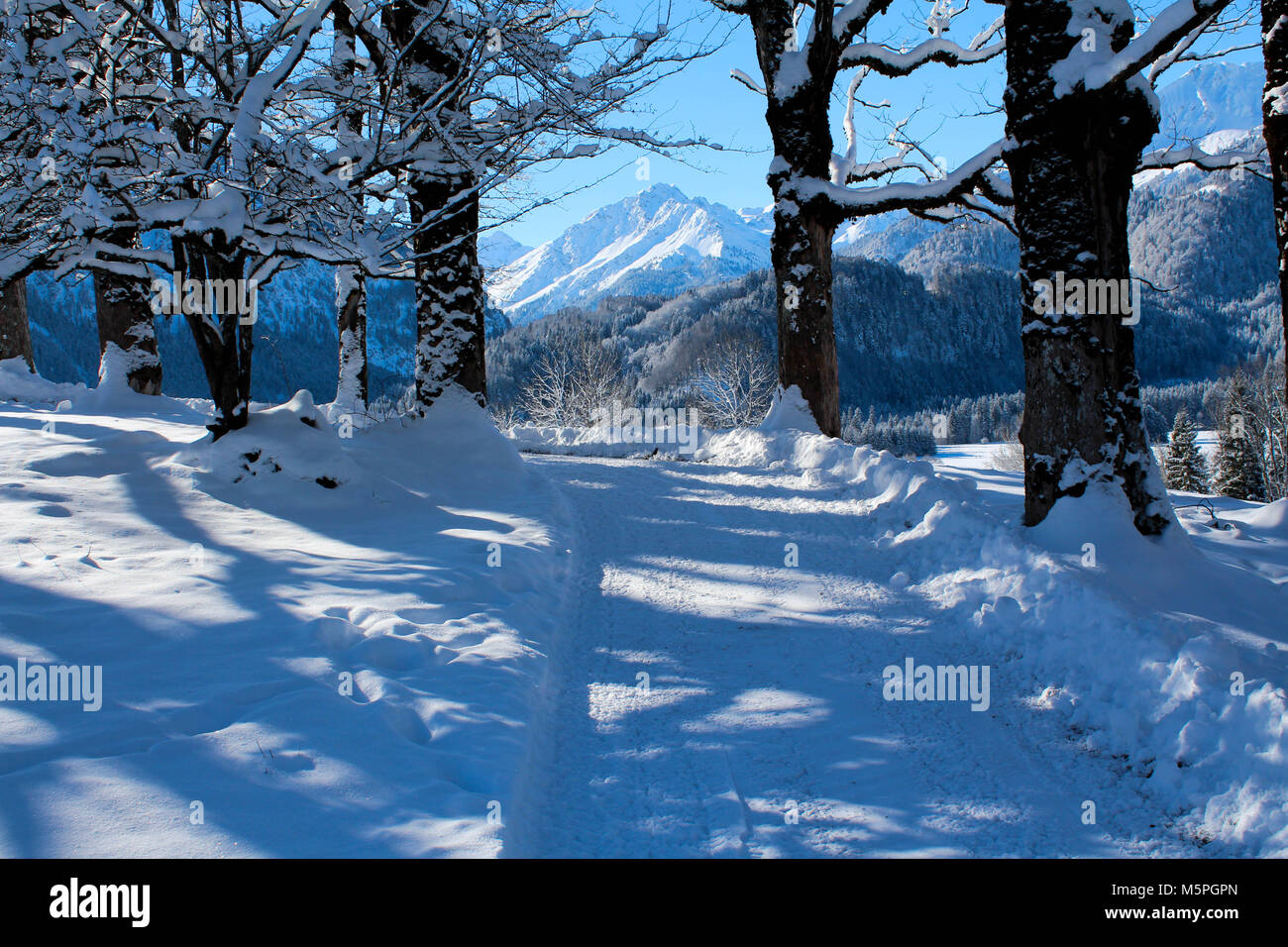 Il bellissimo paesaggio delle Alpi tedesche vicino a Oberstdorf e Kleinwalsertal in inverno Foto Stock