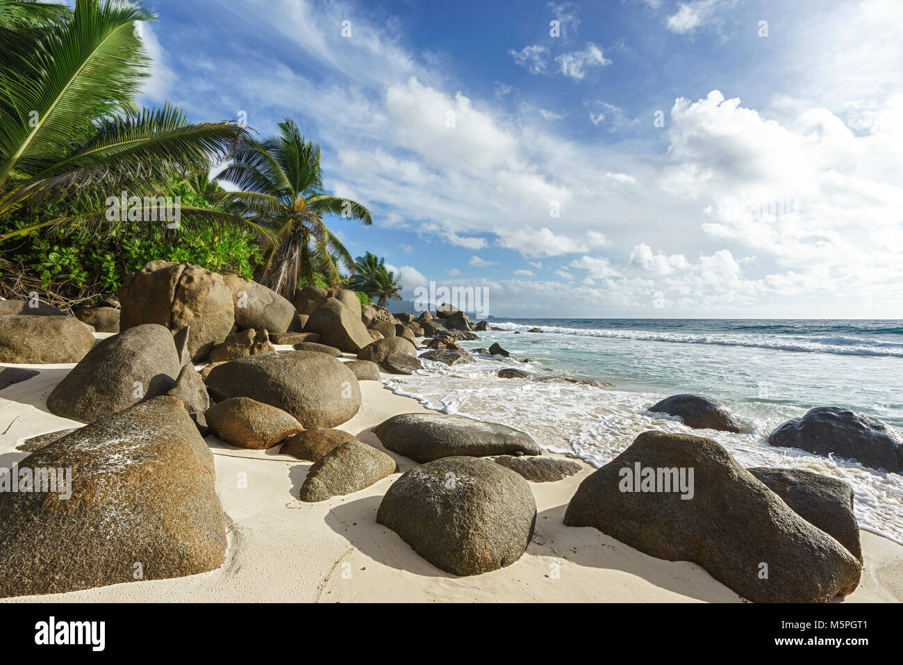 Bella wild tropical beach anse Marie-louise con rocce granitiche e palme nella sabbia delle Seychelles Foto Stock