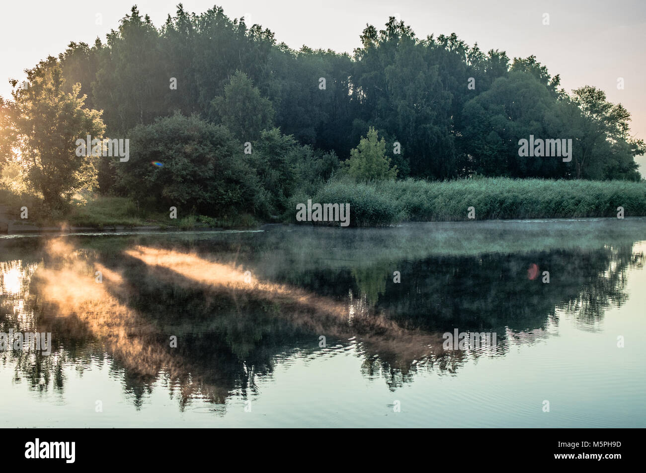 Bellissimo albero riflessioni sulla superficie dei laghi. Foto Stock