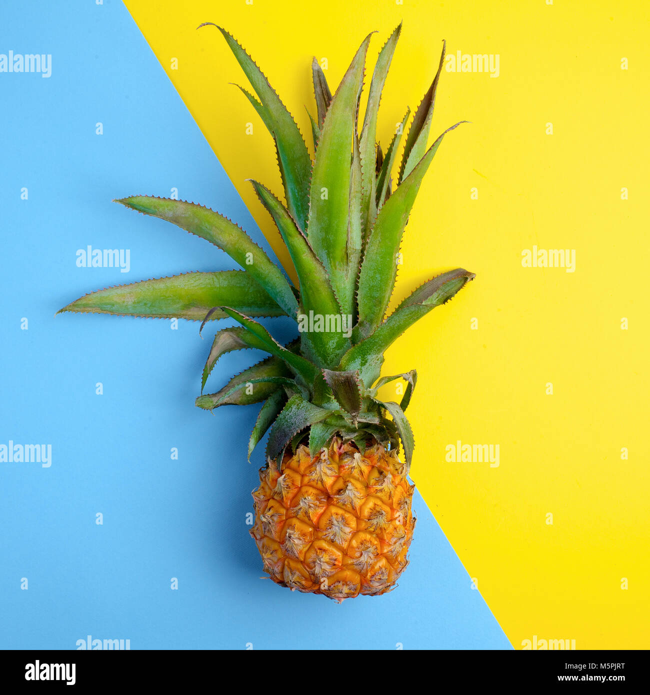 Ananas frutta su un luminoso giallo e blu. Vista superiore Foto Stock