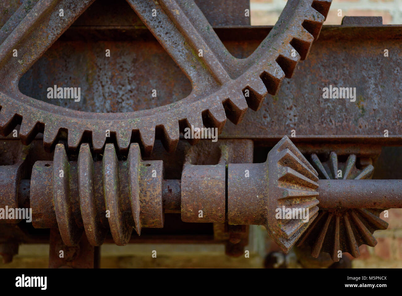 Macro closeup di weathered e rusty industriali ingranaggi in acciaio Foto Stock