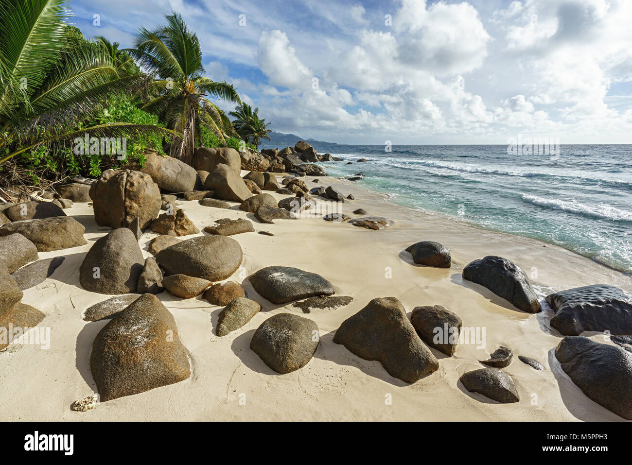 Bella wild tropical beach anse Marie-louise con rocce granitiche e palme nella sabbia delle Seychelles Foto Stock