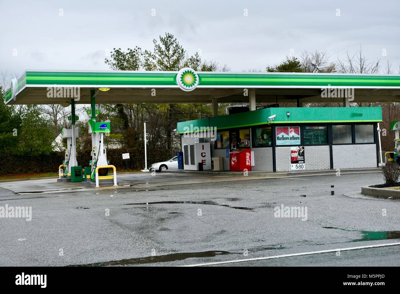 BP gas station Foto Stock