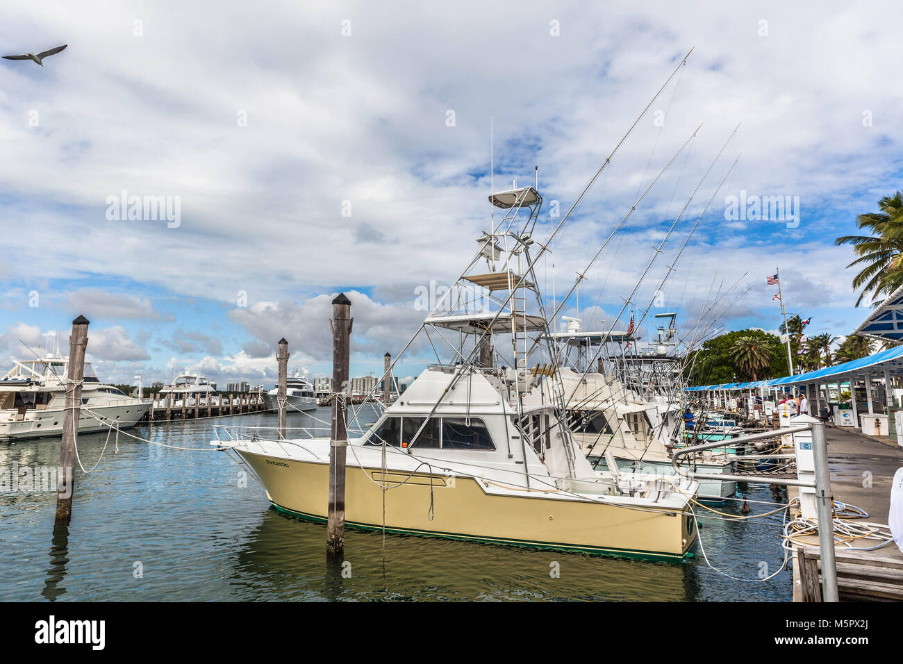 Barche da pesca ormeggiate al Bill Bird marina, Haulover Park, Miami, Florida, Stati Uniti d'America. Foto Stock