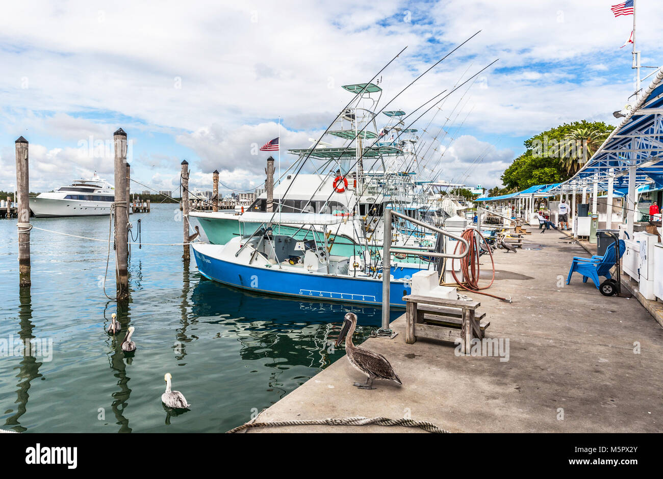 Barche da pesca ormeggiate al Bill Bird marina, Haulover Park, Miami, Florida, Stati Uniti d'America. Foto Stock