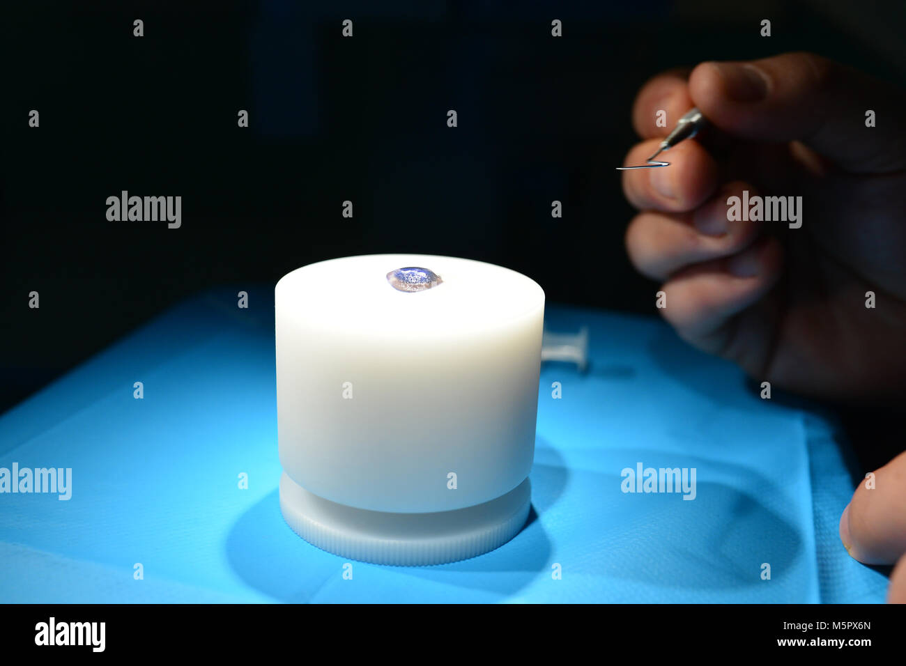 Cornea laser chirurgia medico esercitarsi su un occhio di maiale Foto Stock