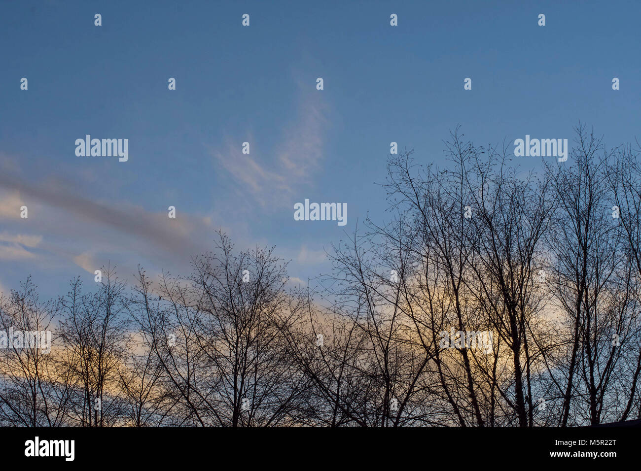 UC Berkeley il bellissimo campus contiene bellezza naturale e architettonica in uguale misura. Foto Stock