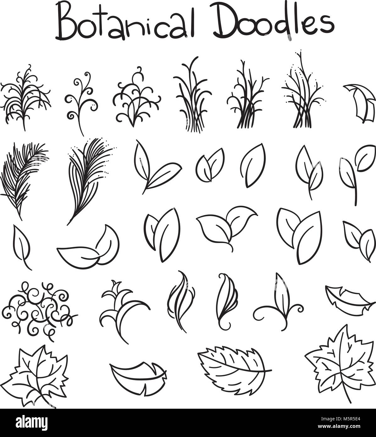 Botanical doodle impostato Illustrazione Vettoriale