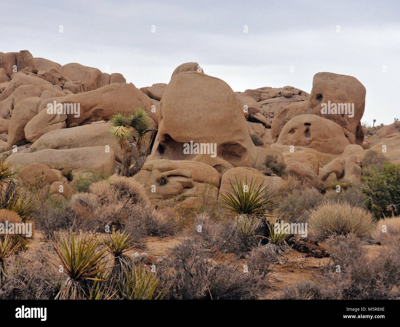 Cranio Rock . Foto Stock