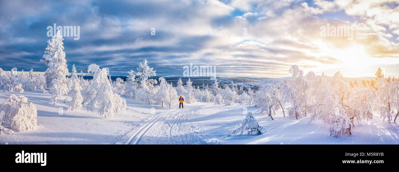 Vista panoramica del giovane uomo sci di fondo su un tracciato in bella winter wonderland scenario in Scandinavia con scenic luce della sera al tramonto Foto Stock
