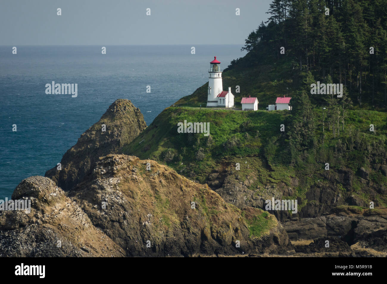 Heceta Head Lighthouse è stato costruito nel 1892 - 1893 e inaugurato nel mese di agosto del 1893. Il faro stesso è 56 metri di altezza e la luce è il più forte sulla costa dell'Oregon. Foto Stock