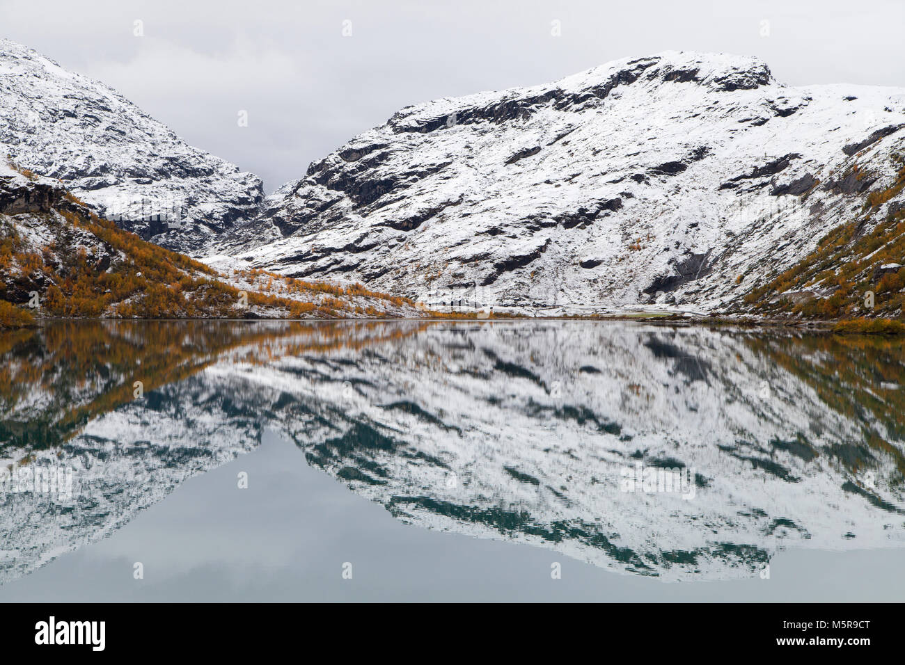 Icy riflessioni sul lago Bovertunvatnet, parco nazionale di Jotunheimen, Norvegia. Foto Stock