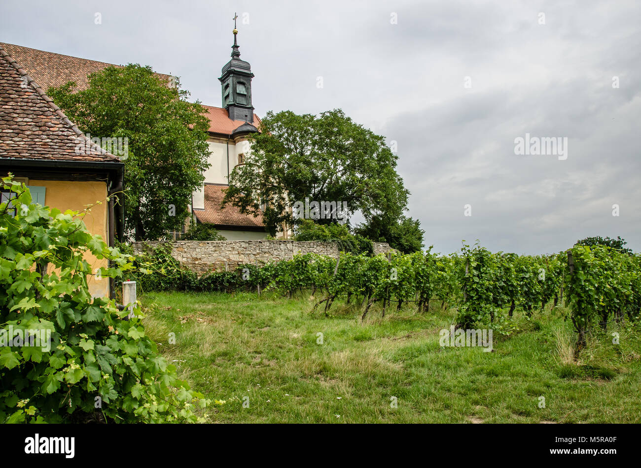 Franconia è una regione per la qualità del vino in Germania nel nord-ovest della Baviera nel distretto di Franconia. Essa è la sola regione del vino in Baviera. Foto Stock