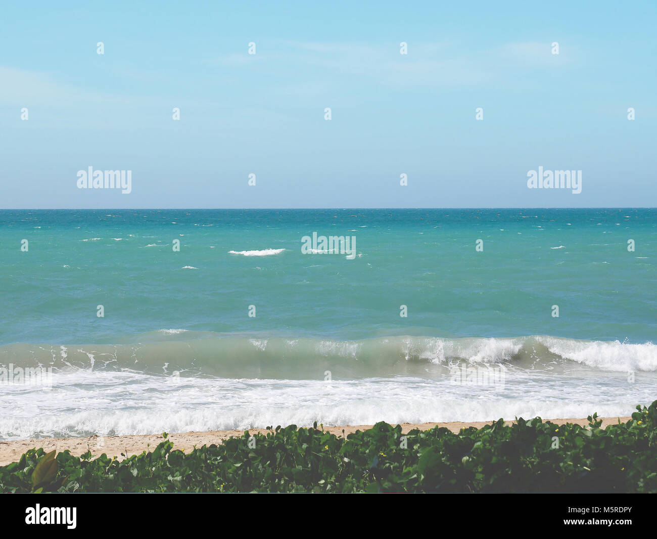 Vista del litorale di vuoto vedendo l'acqua di mare in diversi colori, bianco onde, spiaggia di sabbia e di capra del superriduttore del piede in primo piano Foto Stock