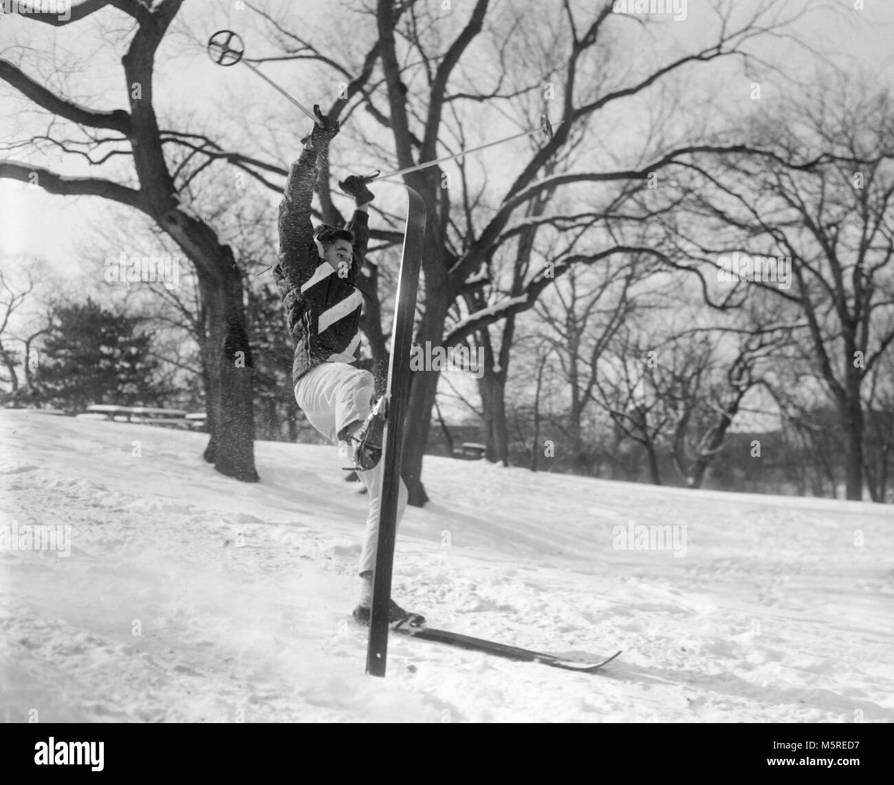 Un uomo perde il controllo sulla sua sci ed è intitolato Per una caduta durante la pratica dello sci su di una collina nella zona di Chicago, ca. 1950. Foto Stock