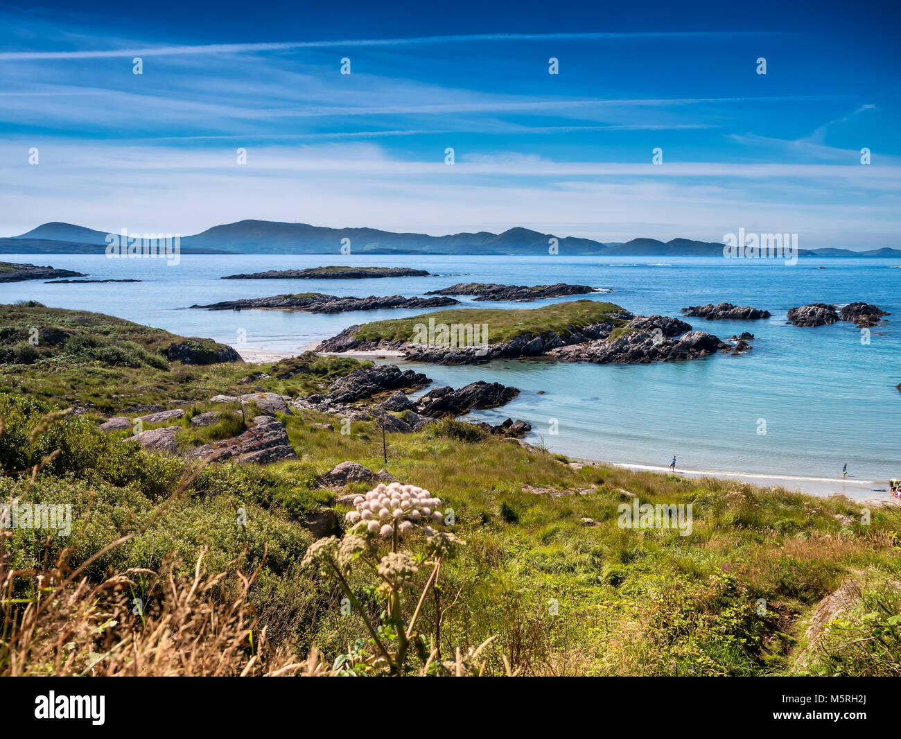 Skellig bay costa nella parte occidentale dell'Irlanda Foto Stock