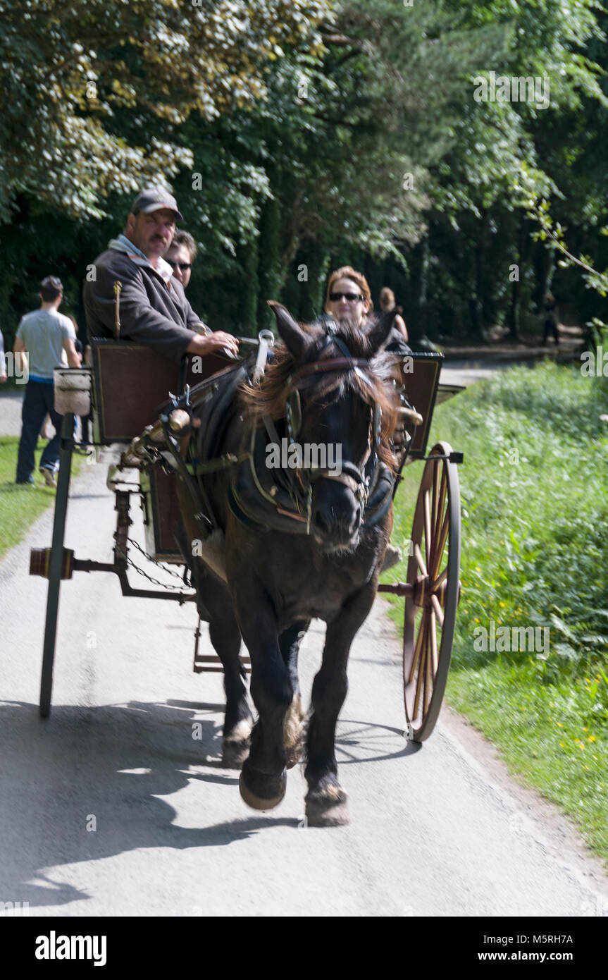 I visitatori potranno fare un giro su un pony e intrappolare i terreni della Muckross House nel Killarney National Park di Killarney, nell'Irlanda del sud. Foto Stock