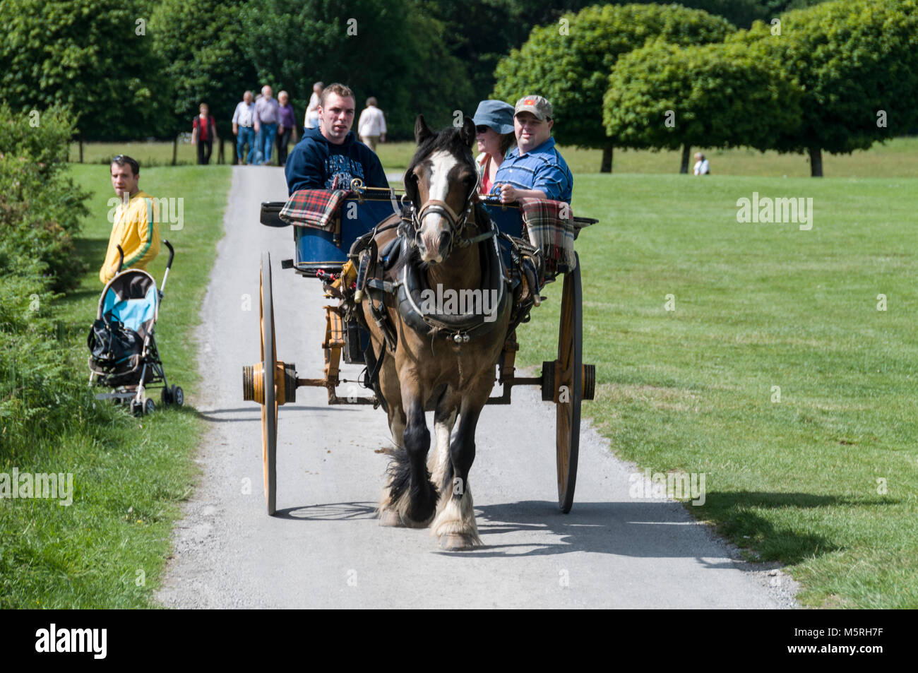 I visitatori potranno fare un giro su un pony e intrappolare i terreni della Muckross House nel Killarney National Park di Killarney, nell'Irlanda del sud. Foto Stock