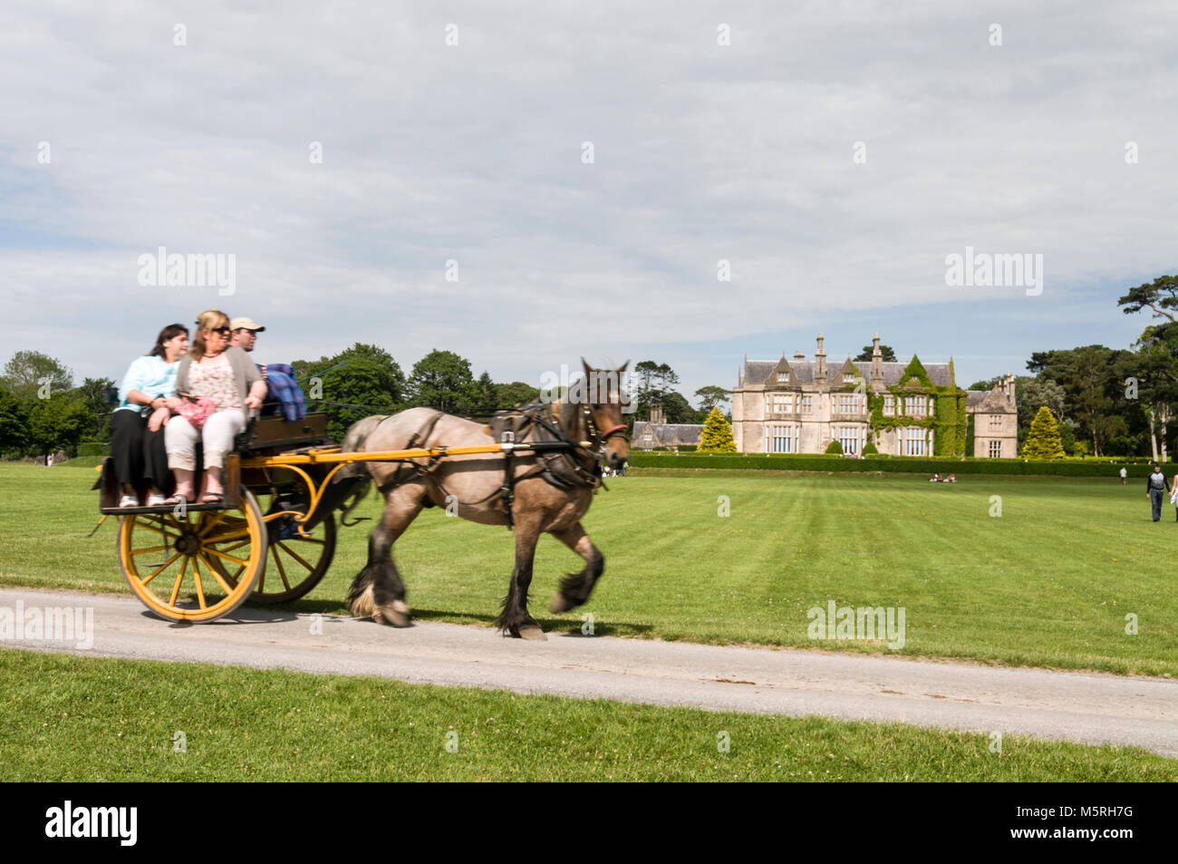 I visitatori potranno fare un giro su un pony e intrappolare i terreni della Muckross House nel Killarney National Park di Killarney, nell'Irlanda del sud. Foto Stock