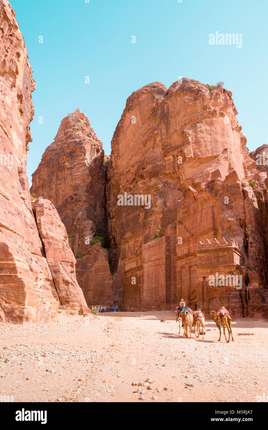 PETRA, GIORDANIA - Aprile 25, 2016: Arabo Beduino Giordano uomo Cavalca un cammello di Petra, Giordania. Foto Stock