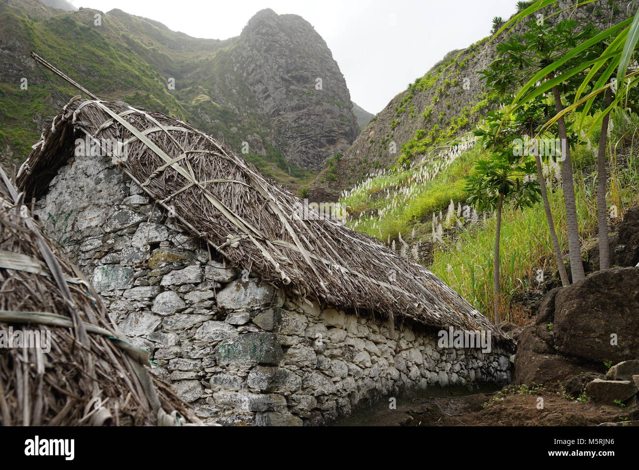 Masi, Paolo Valle, Santo Antão, Capo Verde Foto Stock