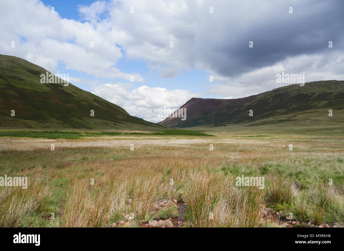 La palude di Mosedale Beck sotto Mellbreak vicino Buttermere nel Lake District inglese, UK. Foto Stock