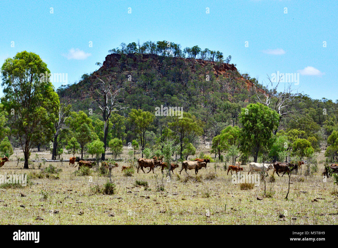 OUTBACK AUSTRALIANO PAESAGGI Foto Stock