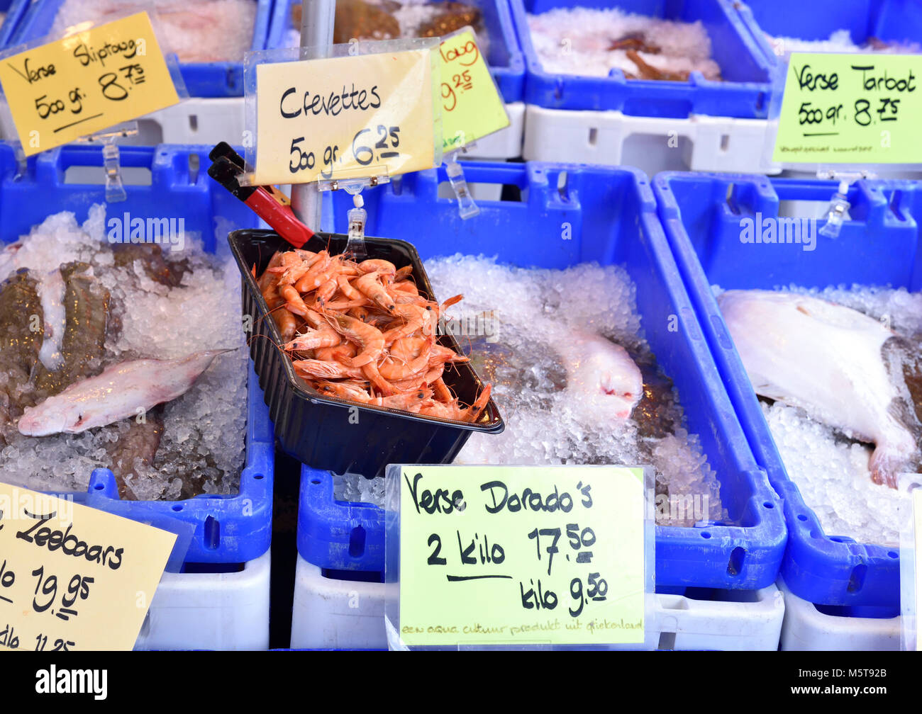 Mercato del pesce in stallo in un supermercato o su un mercato di strada. Vari tipi di pesci e frutti di mare in scatola. Gamberi, Pesce piatto e altre carni di pesce crudo. Foto Stock