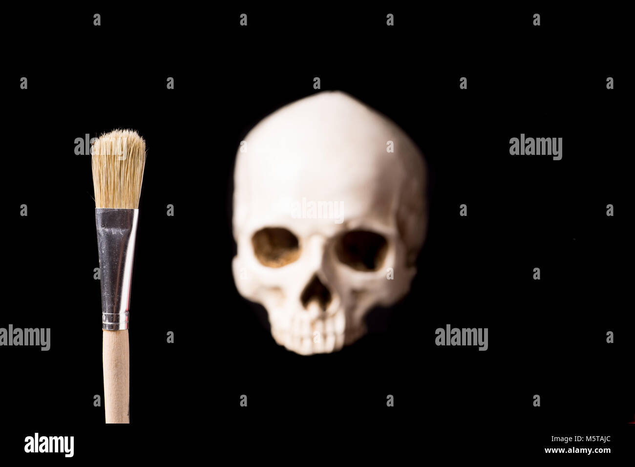 Cranio e spazzola isolati su sfondo nero con copyspace Foto Stock