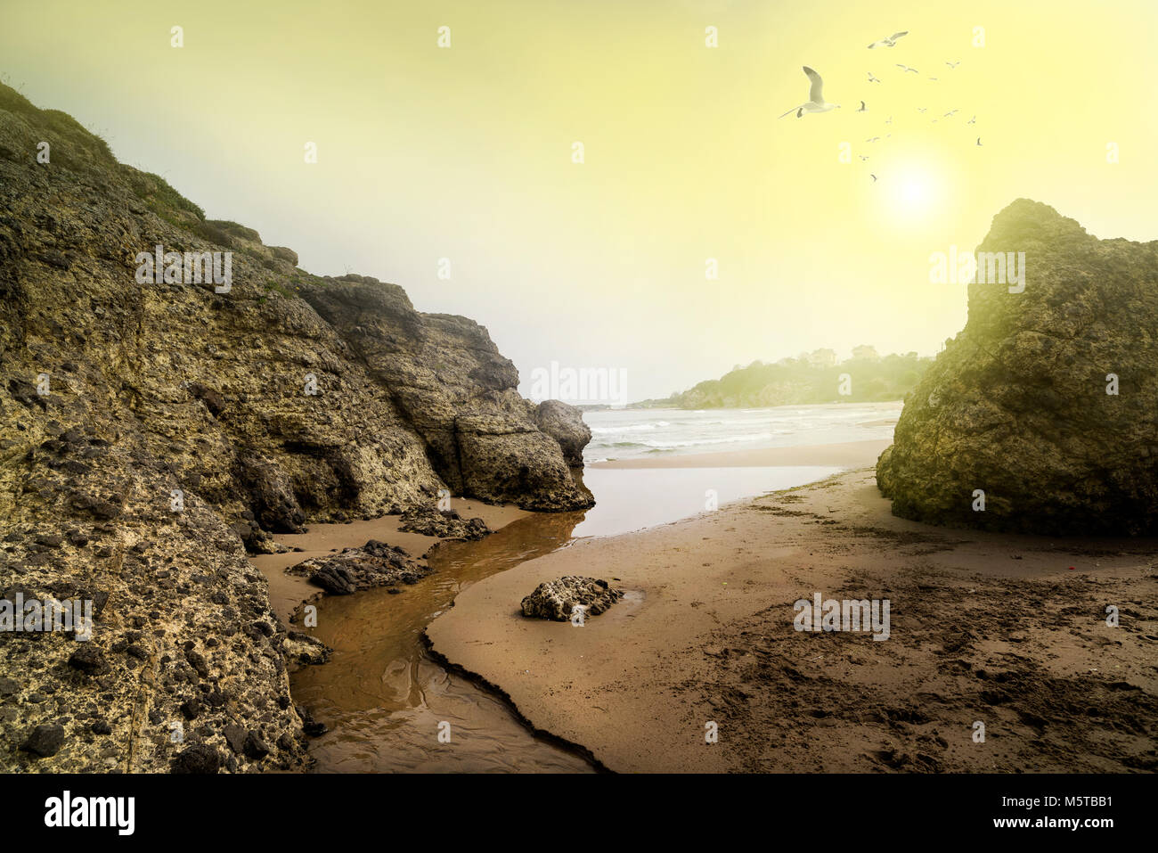 Flusso che scorre verso il mare Foto Stock