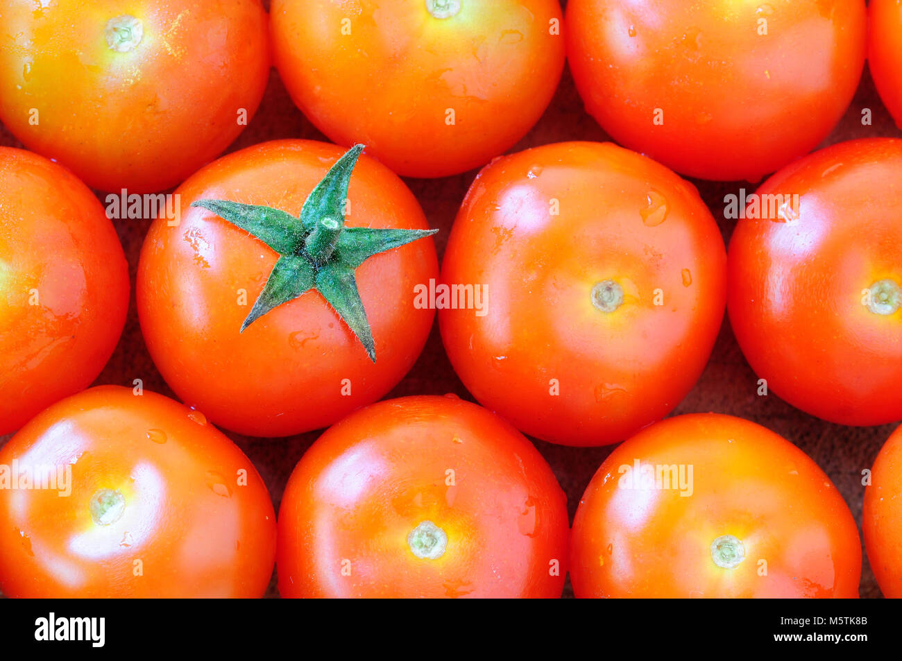 Raccolta israeliana di pomodori ciliegini, di forma piccola e arrotondata. Foto Stock