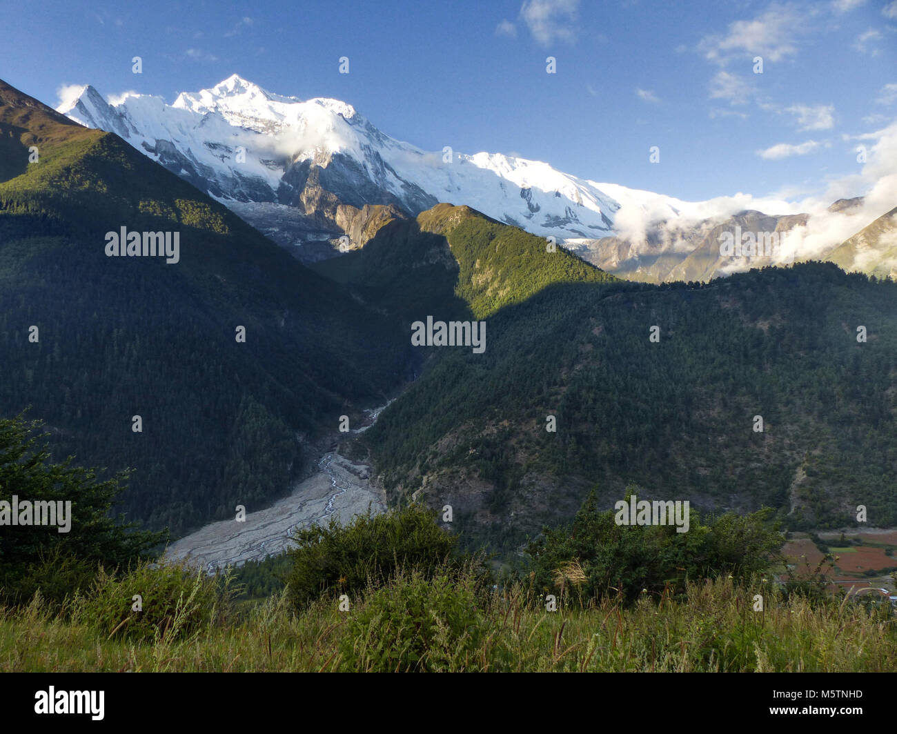 Vista la mattina di Annapurna da Upper Pisang, Snow capped Himalaya in mattinata soft della luce del sole, Circuito di Annapurna trek Foto Stock