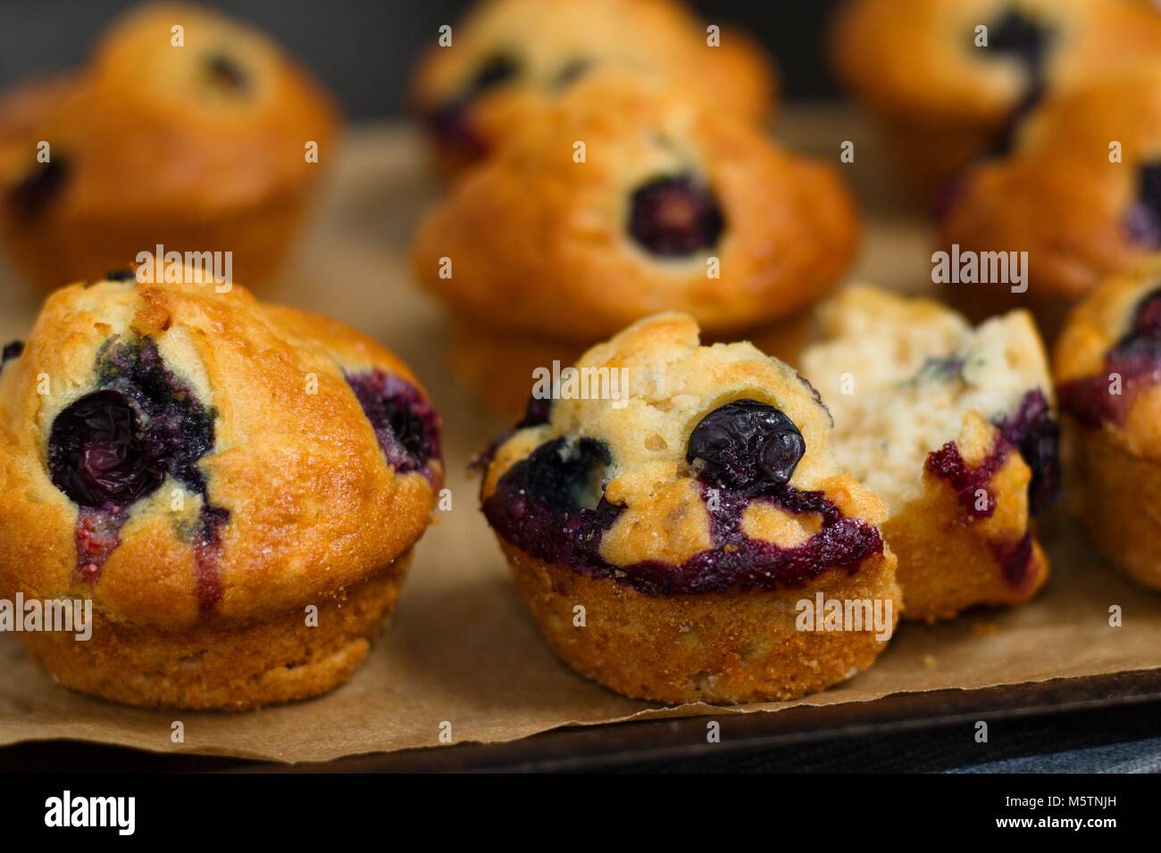 Clos su diversi fatti in casa senza glutine muffin ai mirtilli Foto Stock
