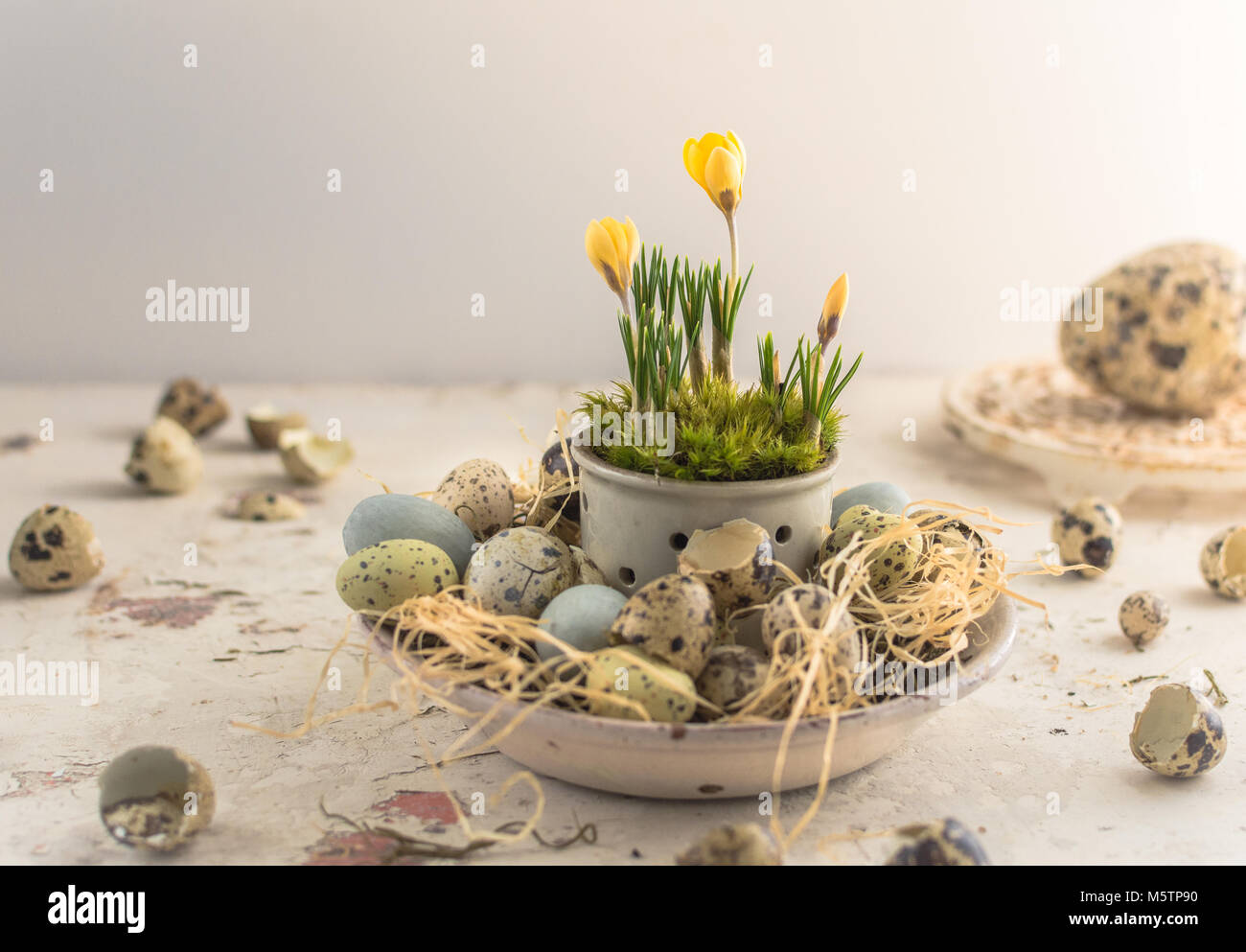 Decorazione di pasqua con vari uova e Crocus su un francese ironstone succhieruola di formaggio Foto Stock