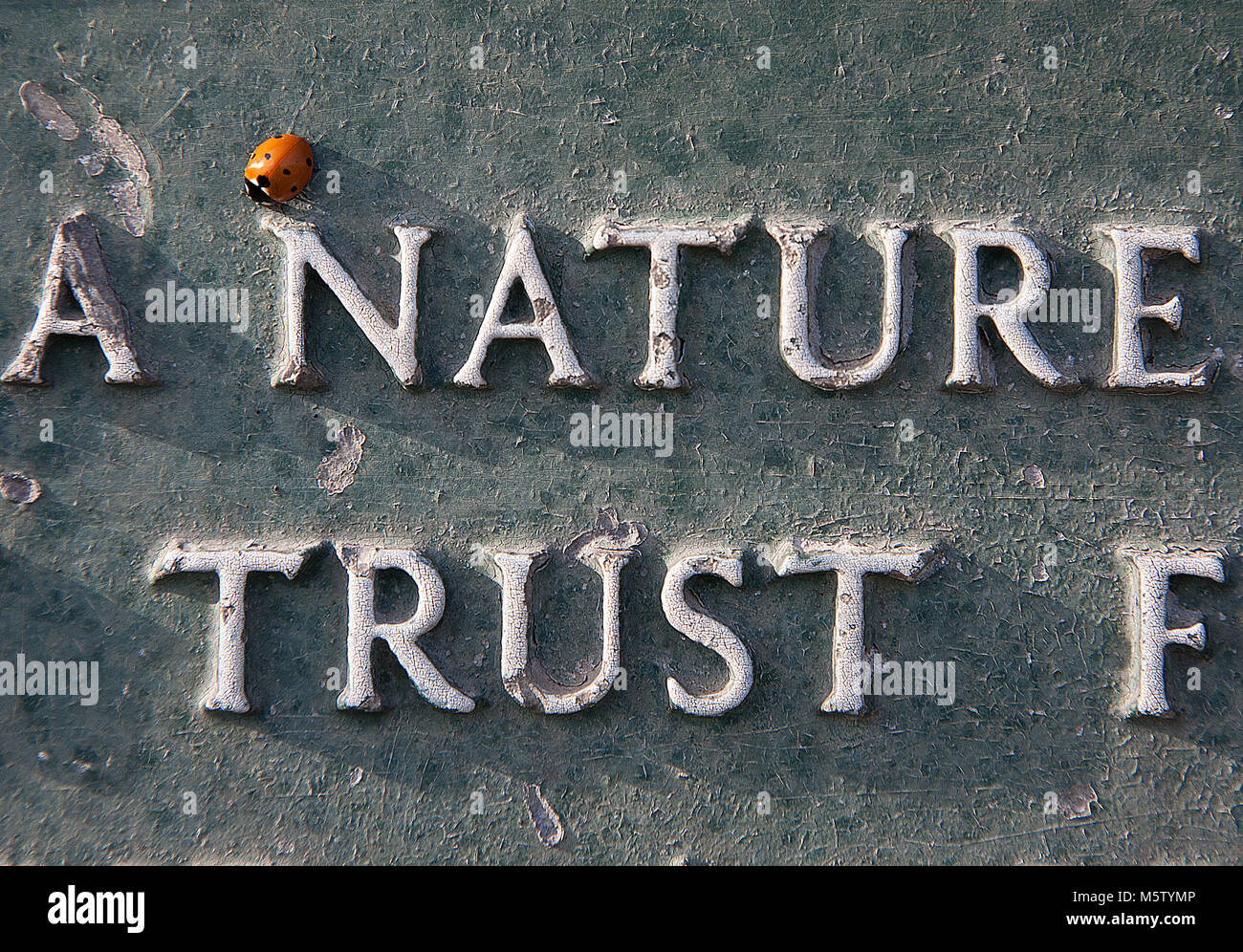 Sei spot ladybird su una ghisa della lettura del segno "natura" e "fiducia", Sud Swale Riserva Naturale, Kent, Regno Unito. Foto Stock