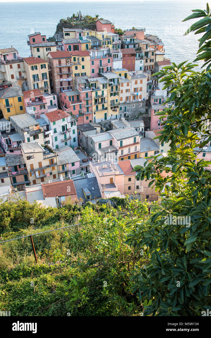 La vegetazione e gli edifici colorati di Manarola, il Parco Nazionale delle Cinque Terre, Liguria, Italia Foto Stock