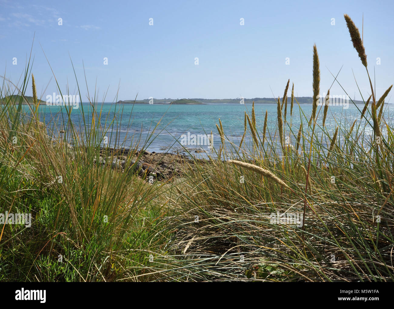 Spiagge soleggiate delle Isole Scilly, Regno Unito. Vista di una baia con erba in primo piano e cielo blu con le nuvole. Foto Stock