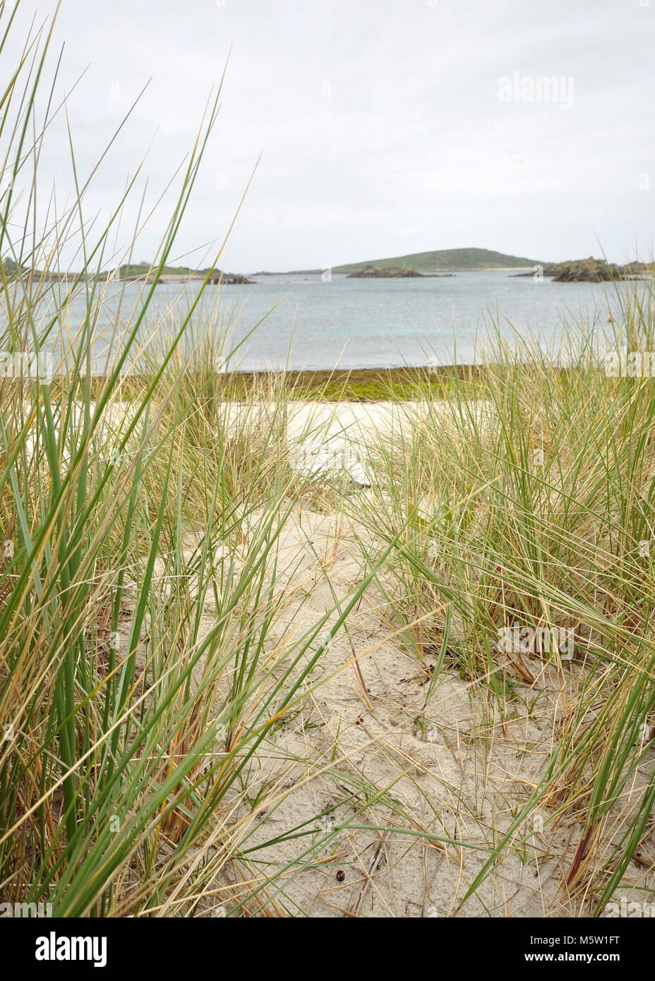 Spiagge soleggiate delle Isole Scilly, Regno Unito. Vista di una baia con erba in primo piano e cielo blu con le nuvole. Foto Stock