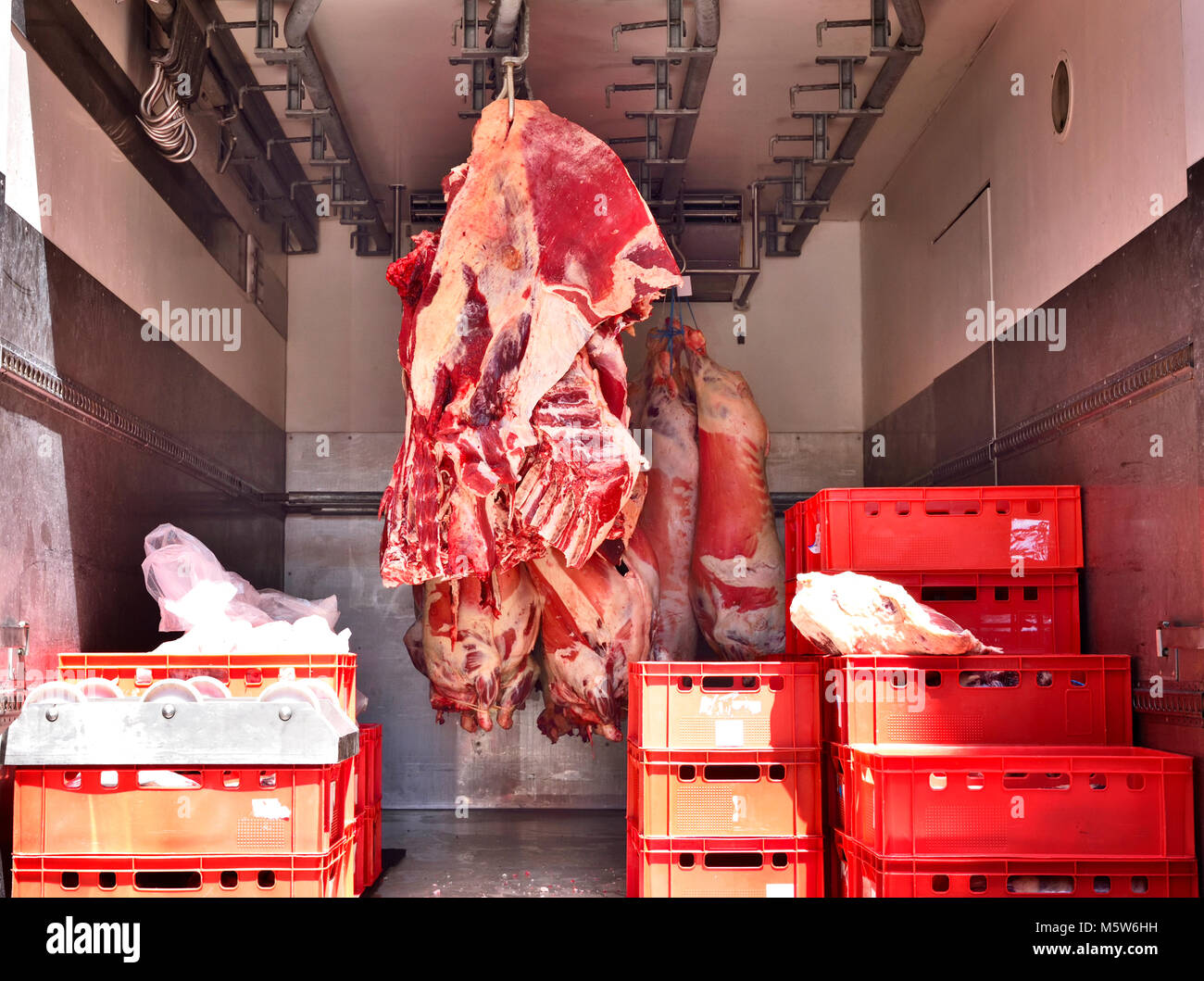 Consegna del cibo di materie di manzo o di maiale, metà manzo in un carrello di raffreddamento. Carni le carni rosse, burrosa o macello tema. Carni transporter, industria alimentare. Foto Stock
