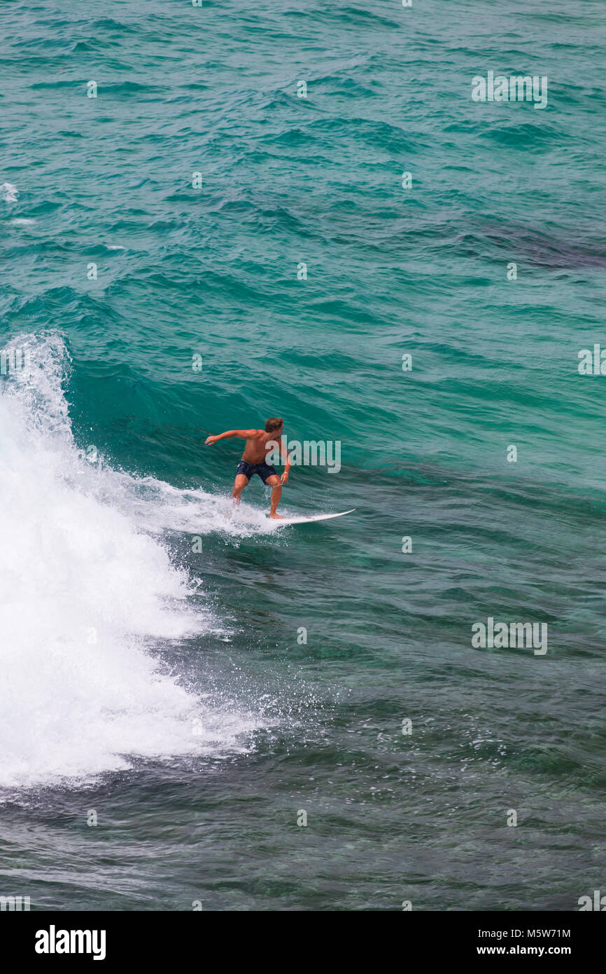 L'uomo surf a Tamarama Beach, Sydney, Nuovo Galles del Sud, Australia Foto Stock