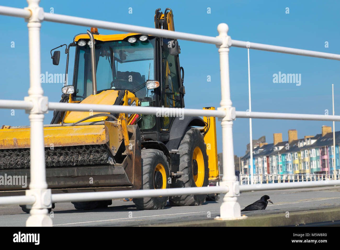 Scavatore JCB Foto Stock
