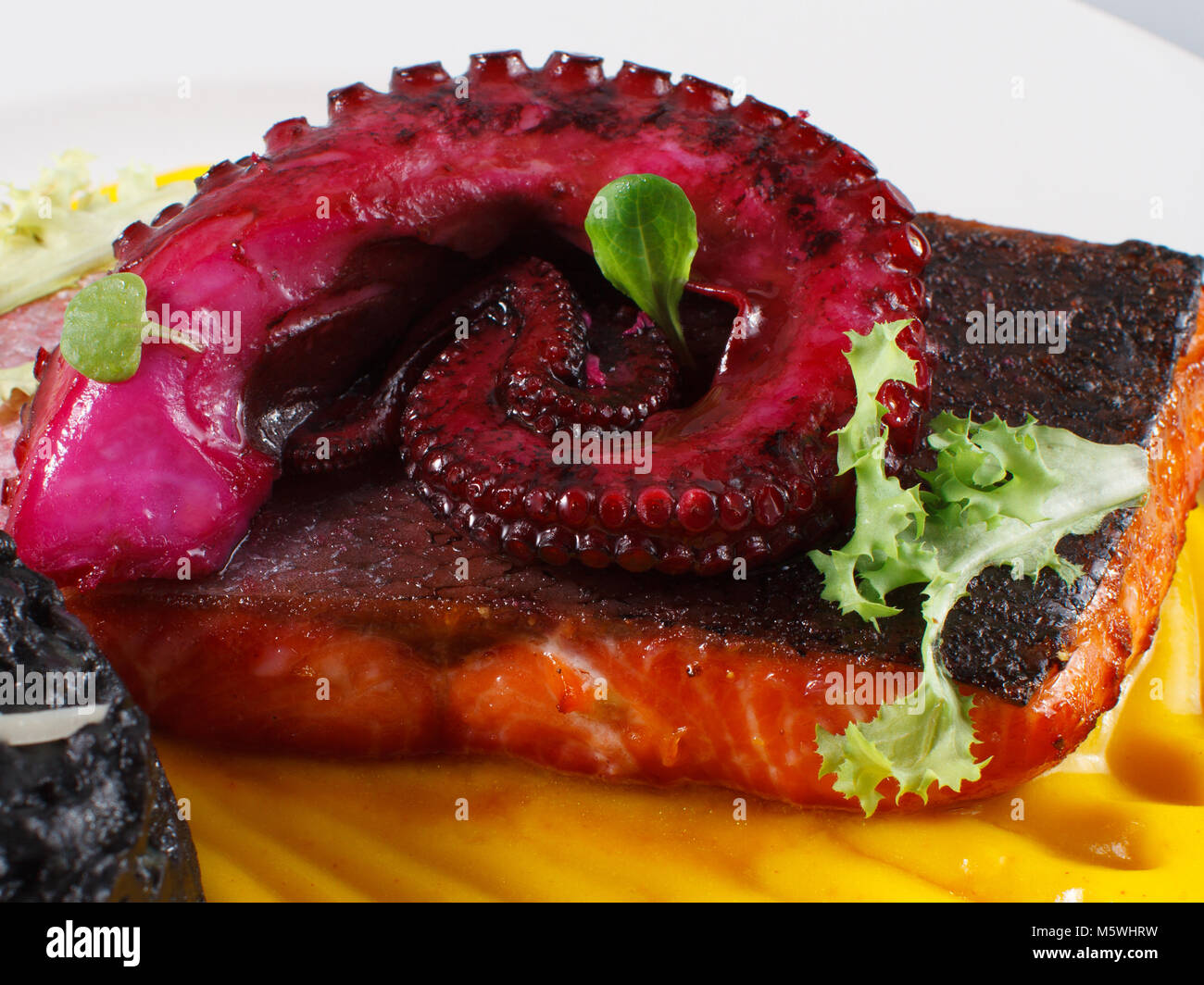 Salmone gourmet con polpo, riso nero e salsa gialla, ottima presentazione. Foto Stock