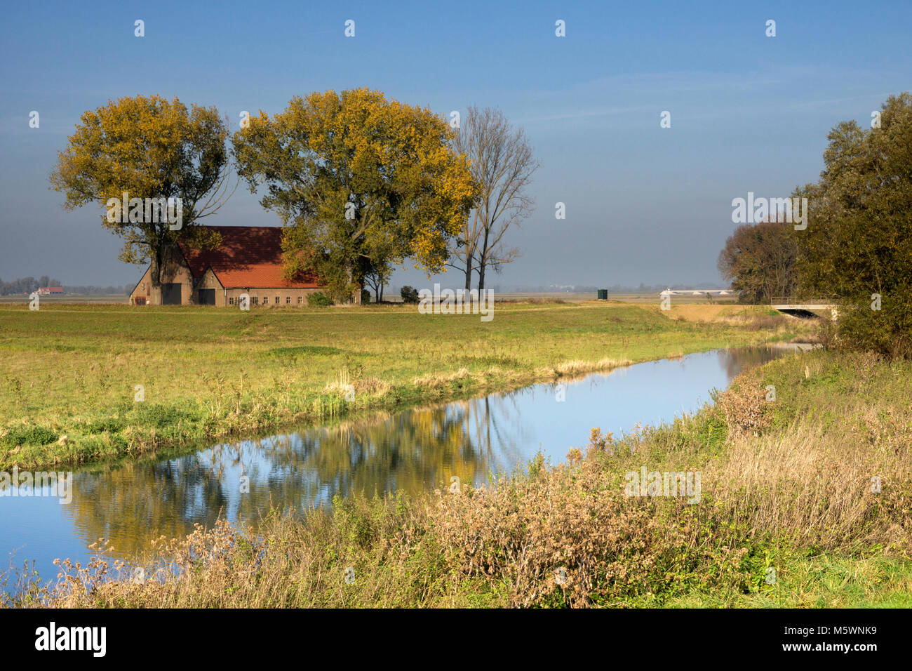 Il Bevert è un ex creek nel Dutch National Park de Biesbosch Foto Stock